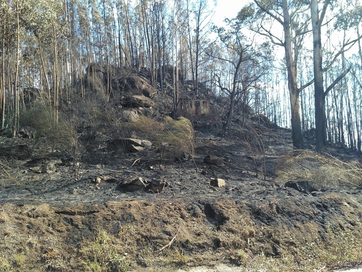 Zona queimada nun incendio en Chandebrito 