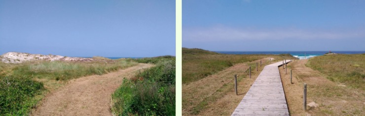 Roza sobre hábitats prioritarios no ecosistema dunar da Praia de Reinante (ZEC As Catedrais) para favorecer o tránsito de veraneantes / SGHN.