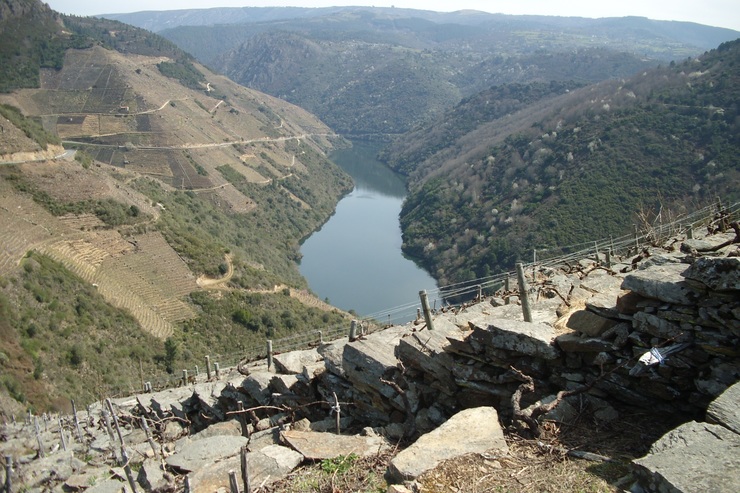 Ribeira Sacra, entre Ourense e Lugo 