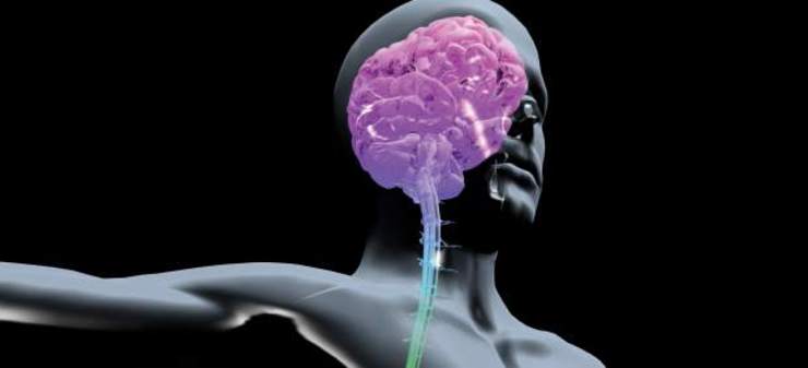 O dano cerebral adquirido afecta xa a máis de 20.000 galegos / Arquivo