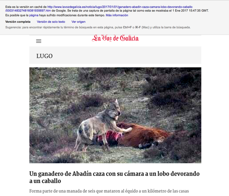 Noticia falsa publicada en La Voz e retirada posteriormente, recuperada da caché de Google.
