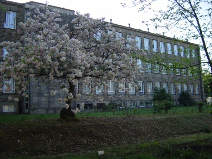 Instituto de Investigacións Agrobiolóxicas de Galicia / CSIC.