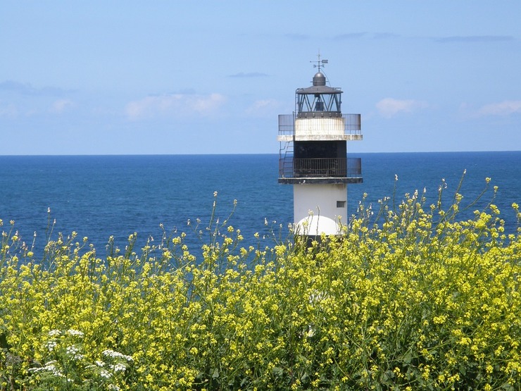 Primavera en Galicia / Pixabay.