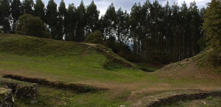 O castro de Viladonga, en Lugo, rodeado por eucaliptos 