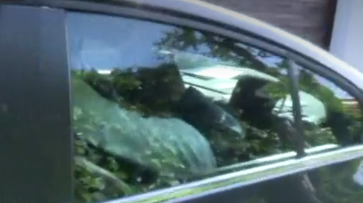 Ignacio González tenta ocultarse cando a Policía o sube detido a un coche 