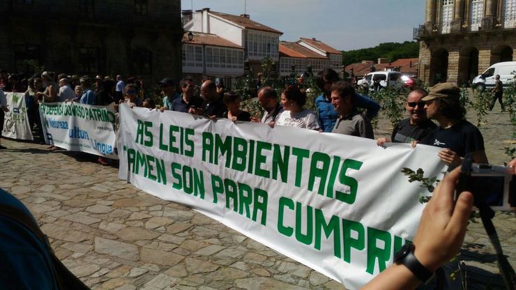 Varias organizacións ecoloxistas e concelleiros de Compostela participaron na protesta no Obradoiro contra a eucaliptización de Galicia 