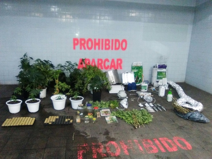Marihuana comisada no piso de Ourense 