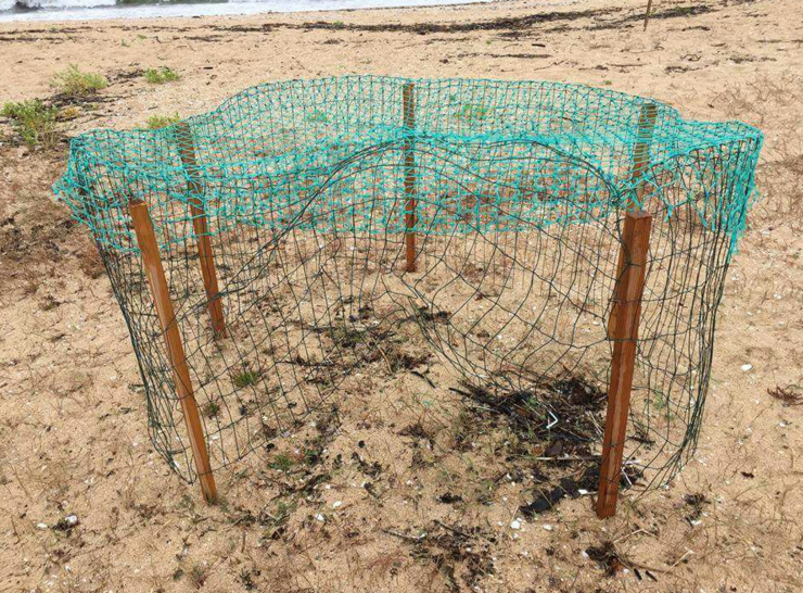 Destrución na praia de Coroso, en Ribeira, de cinco niños de píllara das dunas 