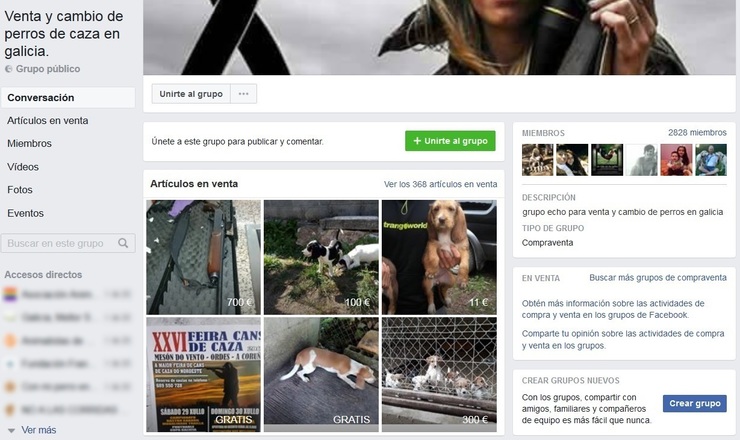 Páxina de facebook de venda de animais 