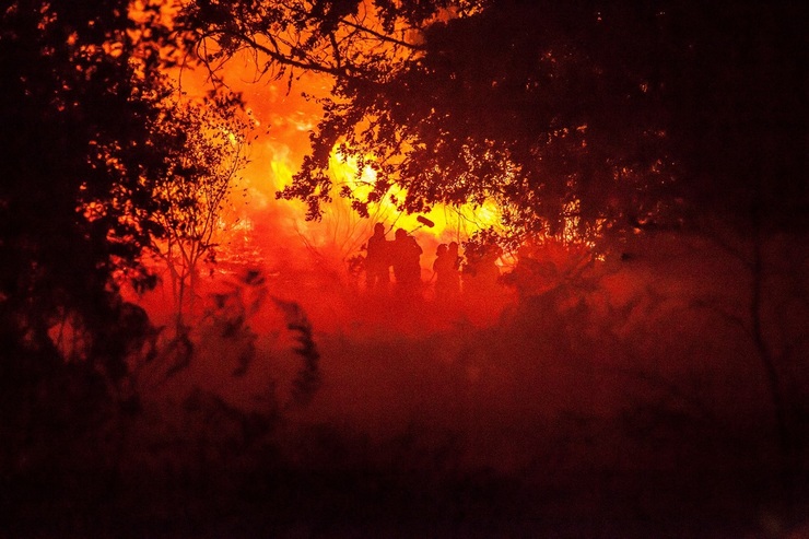Oliver Laxe graba en un incendio para 'Aquilo que arde'