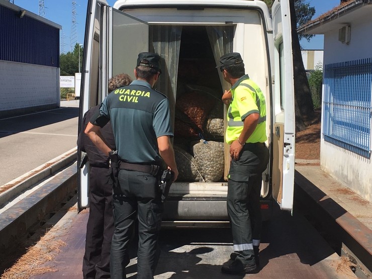 Interceptada no Porriño unha furgoneta con máis de 4 toneladas de ameixa. 