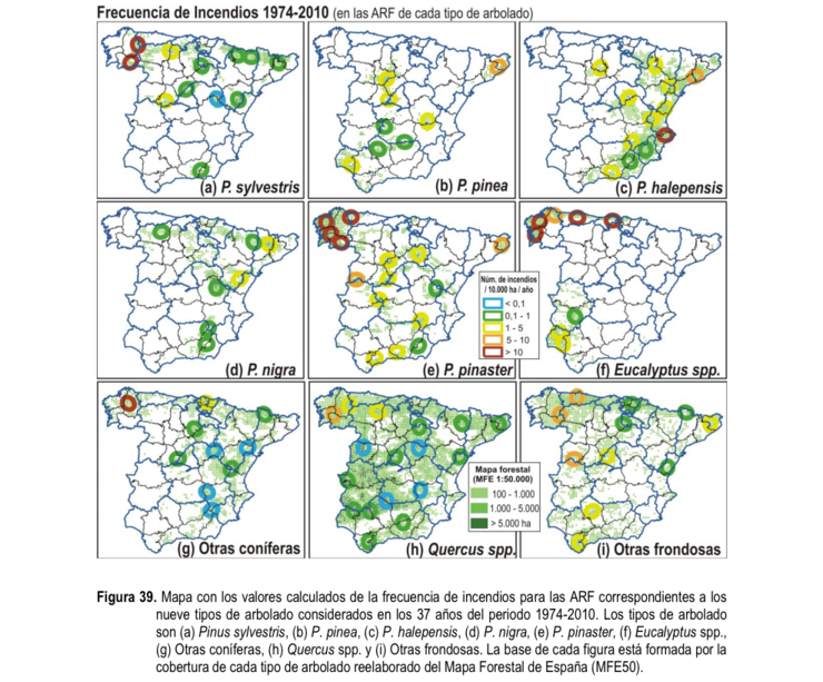 Frecuencia de incendios en España por tipo de árbores 