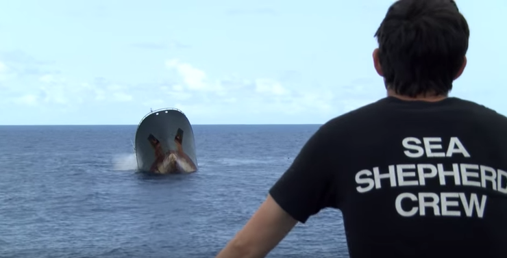 Un tripulanta do Sea Shepard observa o sospeitoso afundimento do Thunder 