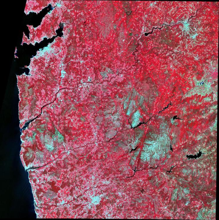 Imaxe obtida a partir do satélite Sentinel-2 do 03 de agosto do 2017, abranguendo o sur de Galicia e norte de Portugal / Adrián Regos.