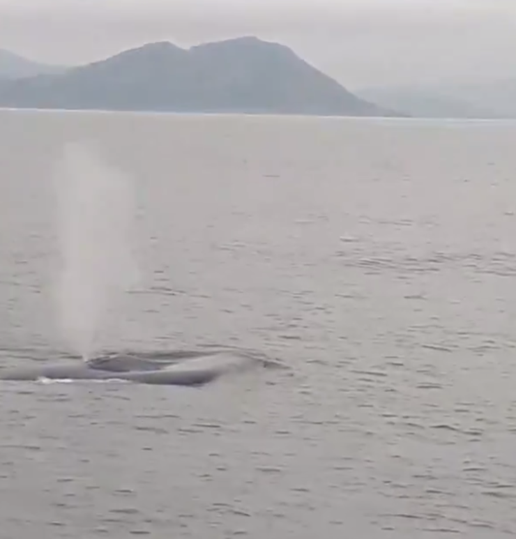 Balea na Ría de Muros