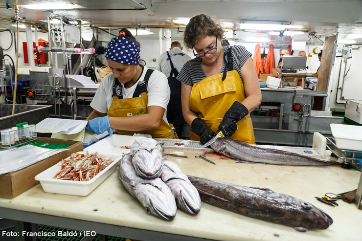 Científicas do Instituto Español de Oceanografía traballan con distintas capturas / IEO.