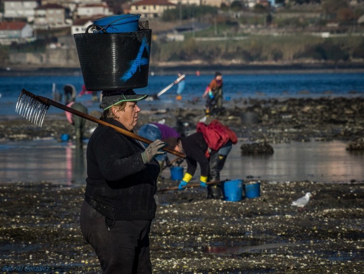 Mariscadoras galegas 