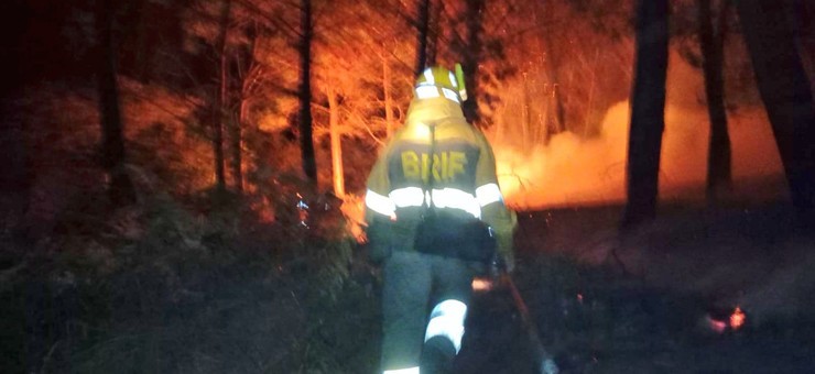 Un membro do Brif nun incendio 