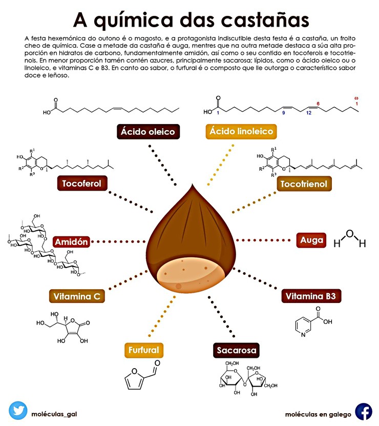 Composición química da castaña / Moléculas en Galego.