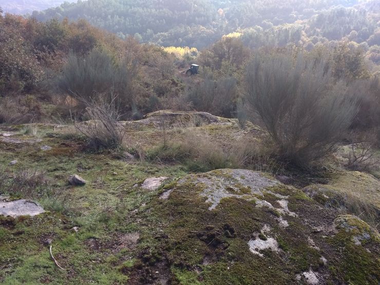 Unha zona do monte de Punxín 