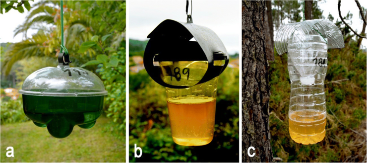 Trampas de cebo contra a avespa velutina: a e b, os atraentes comerciais franceses Avispa'clac e Véto-Pharma; c, trampa caseira / Rojas-Nossa, S.V., Novoa, N., Serrano, A. et al. Apidologie (2018). https://doi.org/10.1007/s13592-018-0612-0.