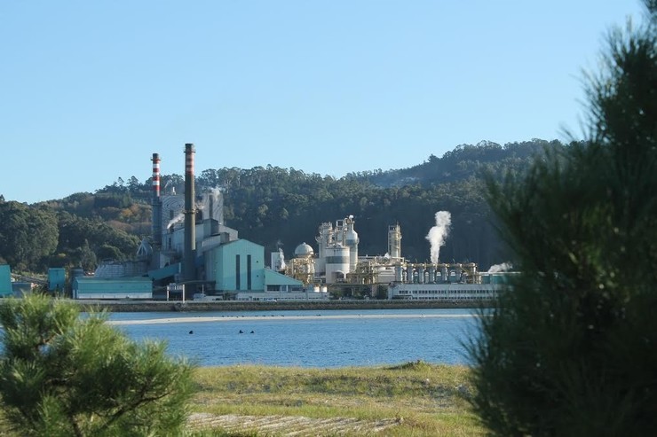 Ence na ría de Pontevedra. Europa Press - Archivo 