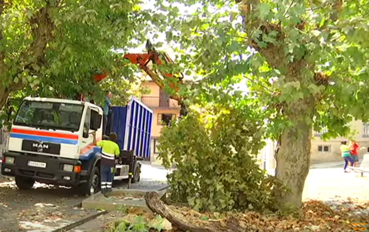 Recollida de árbore caída na Praza de San Marcial de Ourense 