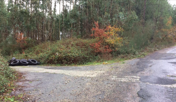 Pneumáticos guindados nun camiño forestal en Coirós 