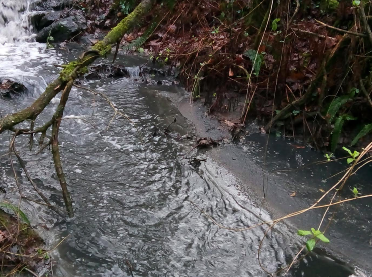 Acumulación de lodos no río causados pola actividade da empresa TEN S.L. en Touro 