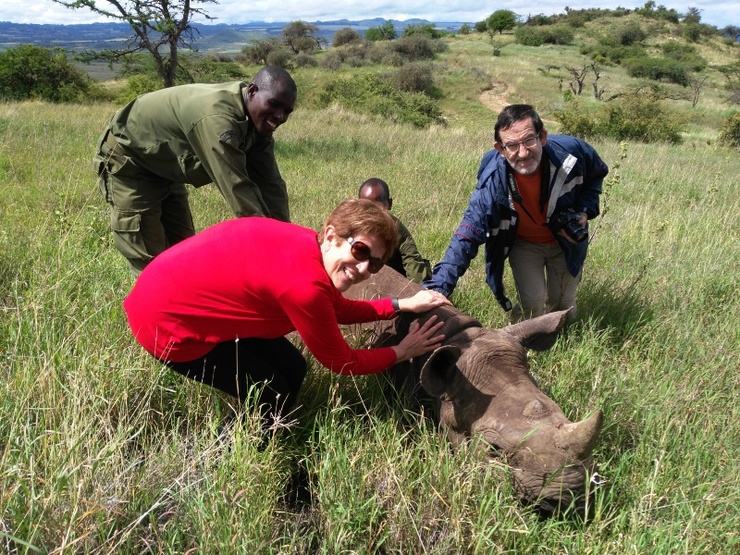 María Patrocinio Morrondo e Pablo Díez Baños, catedráticos da Universidade de Santiago, examinan un rinoceronte con persoal do Servizo de Fauna de Kenia 