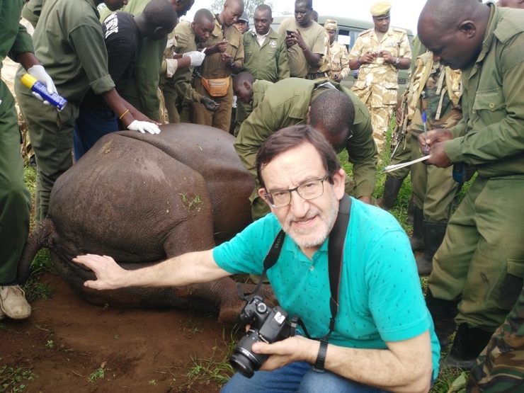 Pablo Díez Baños, catedrático da Universidade de Santiago, examina un elefante con persoal do Servizo de Fauna de Kenia 