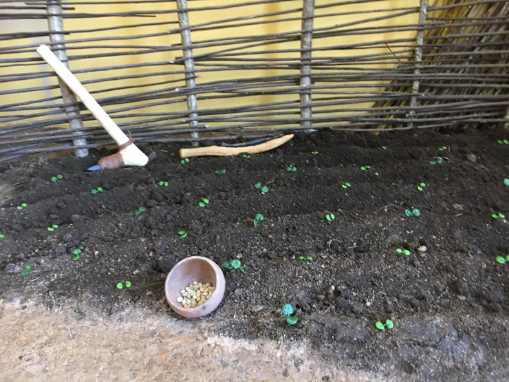 Escena de agricultura no Neolítico en Dombate 