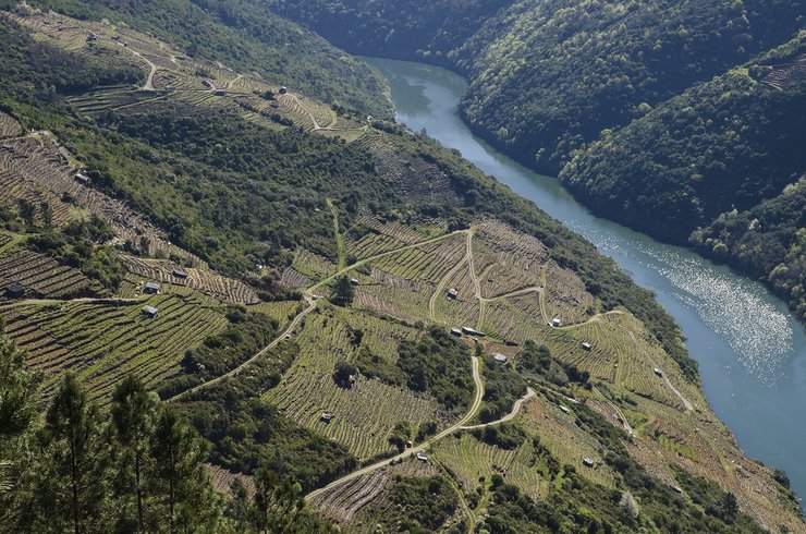 Vistas dende o Miradoiro da Capela. Foto: Web Pobra do Brolón
