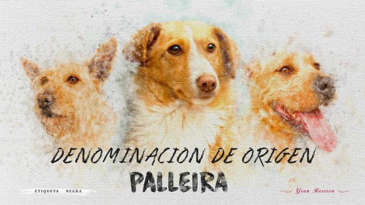 Cartel da campaña Denominación de Orixe Palleira, da protectora Os Palleiros 