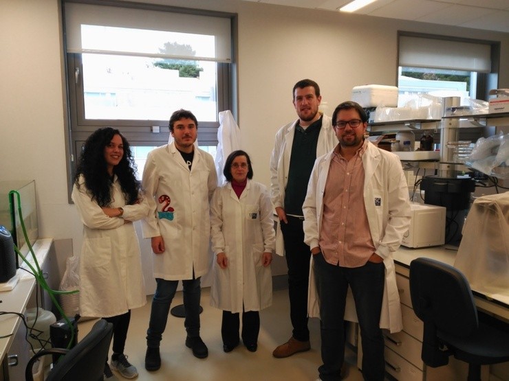 Grupo de investigación do Departamento de Bioloxía Funcional da USC; de esquerda a dereita Rocío Ledo, Daniel Sobrido, María Celina Rodicio, Daniel Romaus e Antón Barreiro 