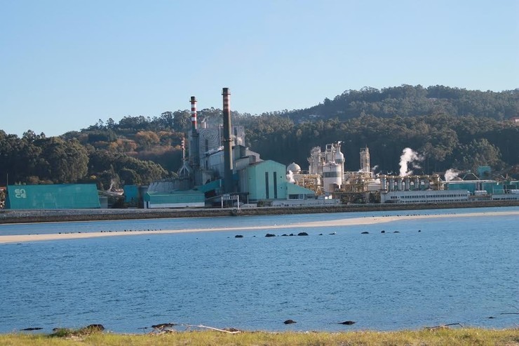 Fábrica de Ence en Lourizán, na ría de Pontevedra. EUROPA PRESS - Archivo 