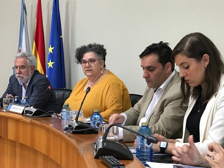 A valedora do Pobo, Milagros Otero, na Comisión de Peticións / Europa Press