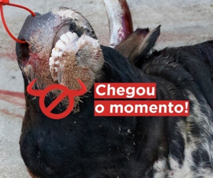 Cartel da campaña '#ChegouOMomento' contra a tauromaquia.. PLATAFORMA GALICIA, MELLOR SEN TOURADAS 