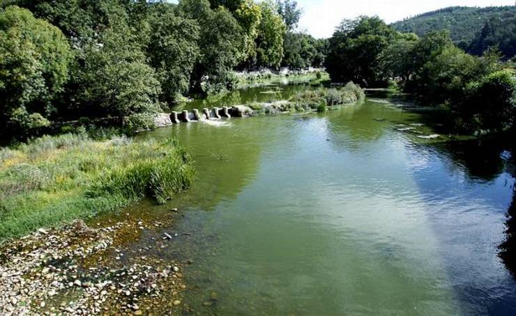 O río Umia invadido pola cianobacteria 