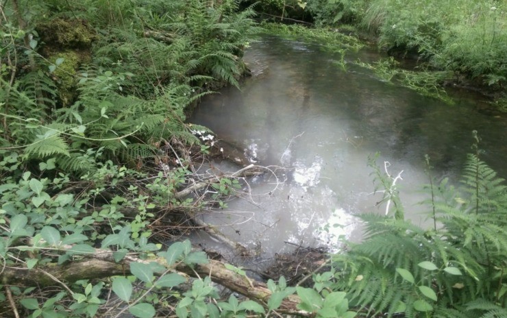 Auga contaminada polas actividades de Explotaciones Gallegas / Aldea Viva.