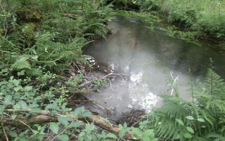 Auga contaminada polas actividades de Explotaciones Gallegas 