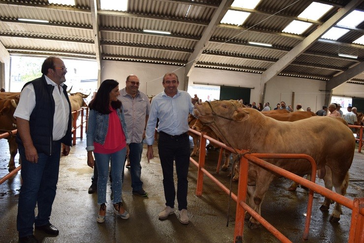 Nota E Foto. A Fonsagrada Acole Ou Tradicional Concurso De Gando Vacún, Co Apoio. DIPUTACIÓN DE LUGO 