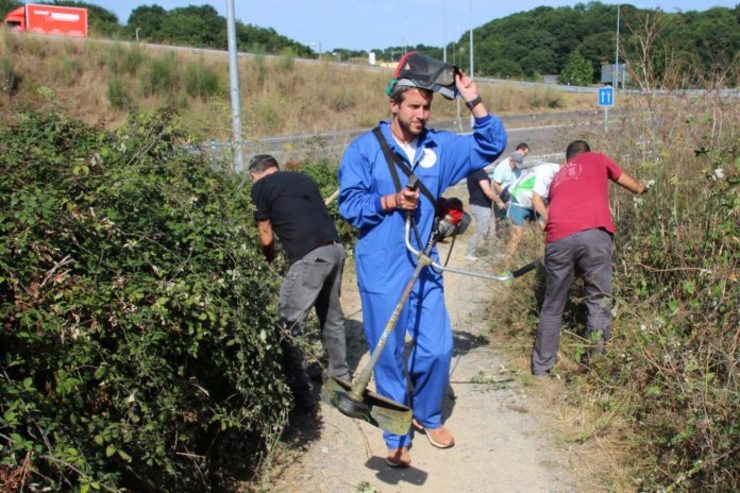 Brigada de desbroce organizada polo BNG de Lugo / LX