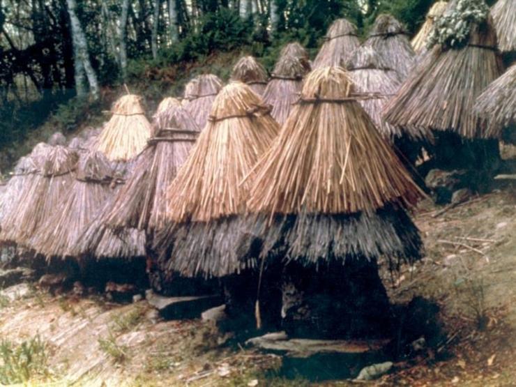 Apicultura tradicional. AGA 