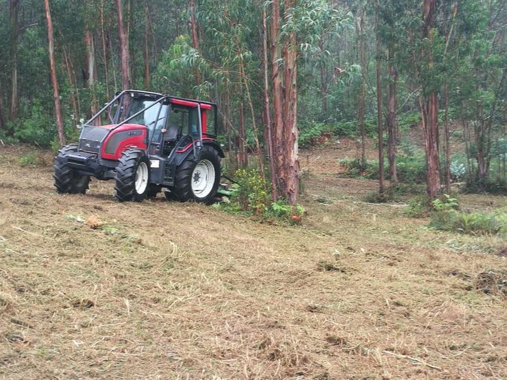 Traballos de limpeza forestal en Galicia. CEDIDA - Arquivo 