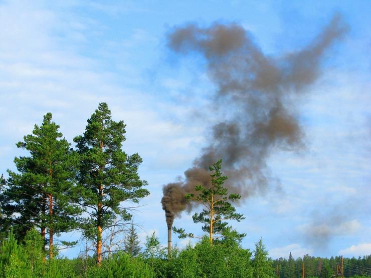 Contaminación. OHIO STATE UNIVERSITY 