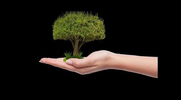 Etxebarri comprométese a plantar unha árbore antes do 5 de xuño, dentro da campaña #UnÁrbolPorEuropa. OFICINA DO PARLAMENTO EUROPEO EN ESPAÑA 