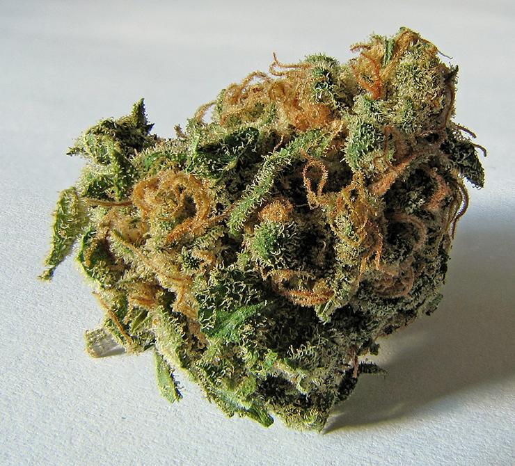 Marihuana/Wikipedia