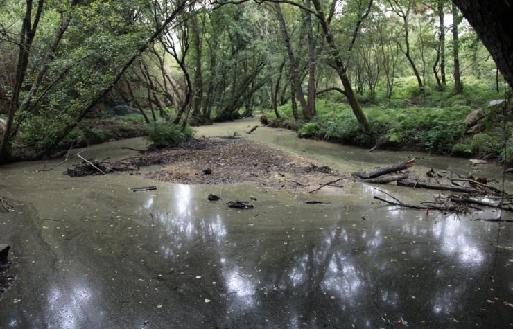 Río Barbaña contaminado / Ourense en Común.