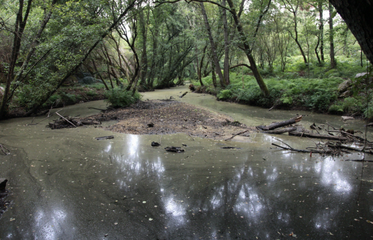 Río Barbaña contaminado 